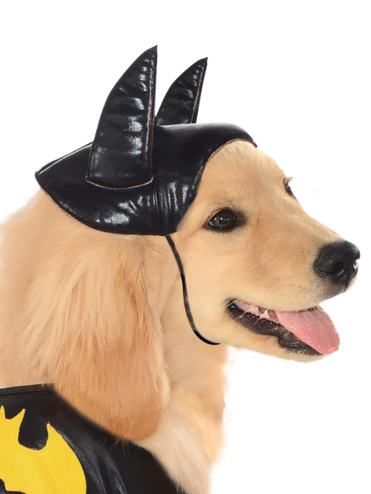 Batgirl Pet Costume - Buy Online Only