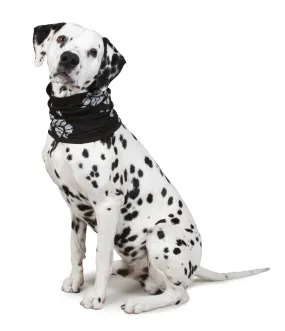 Best Friend Dog reflective tube scarf