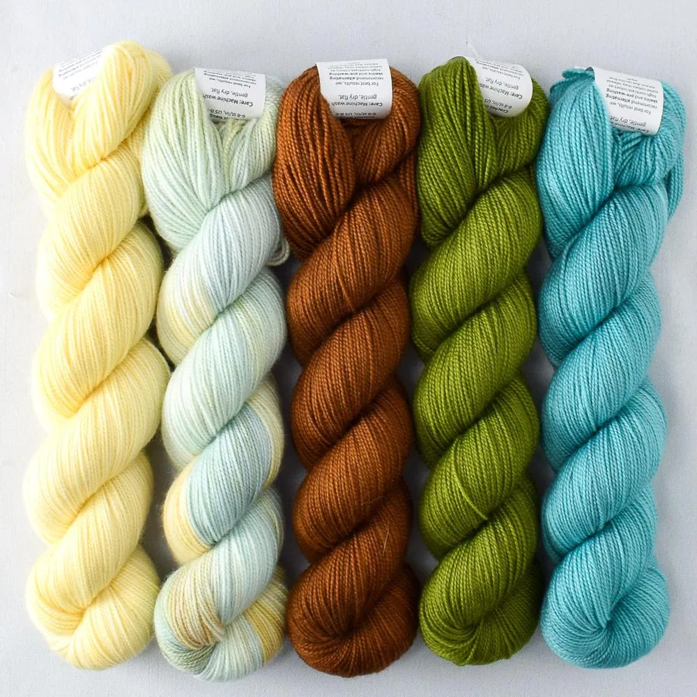 Blue Parakeet, Dragon Claw, Dark Roast, Mantis, Walking on Sunshine - Shawlography Set