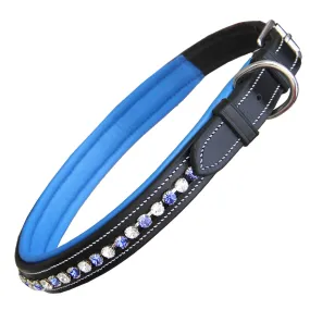 ExionPro White & Blue Bling Dog Collar