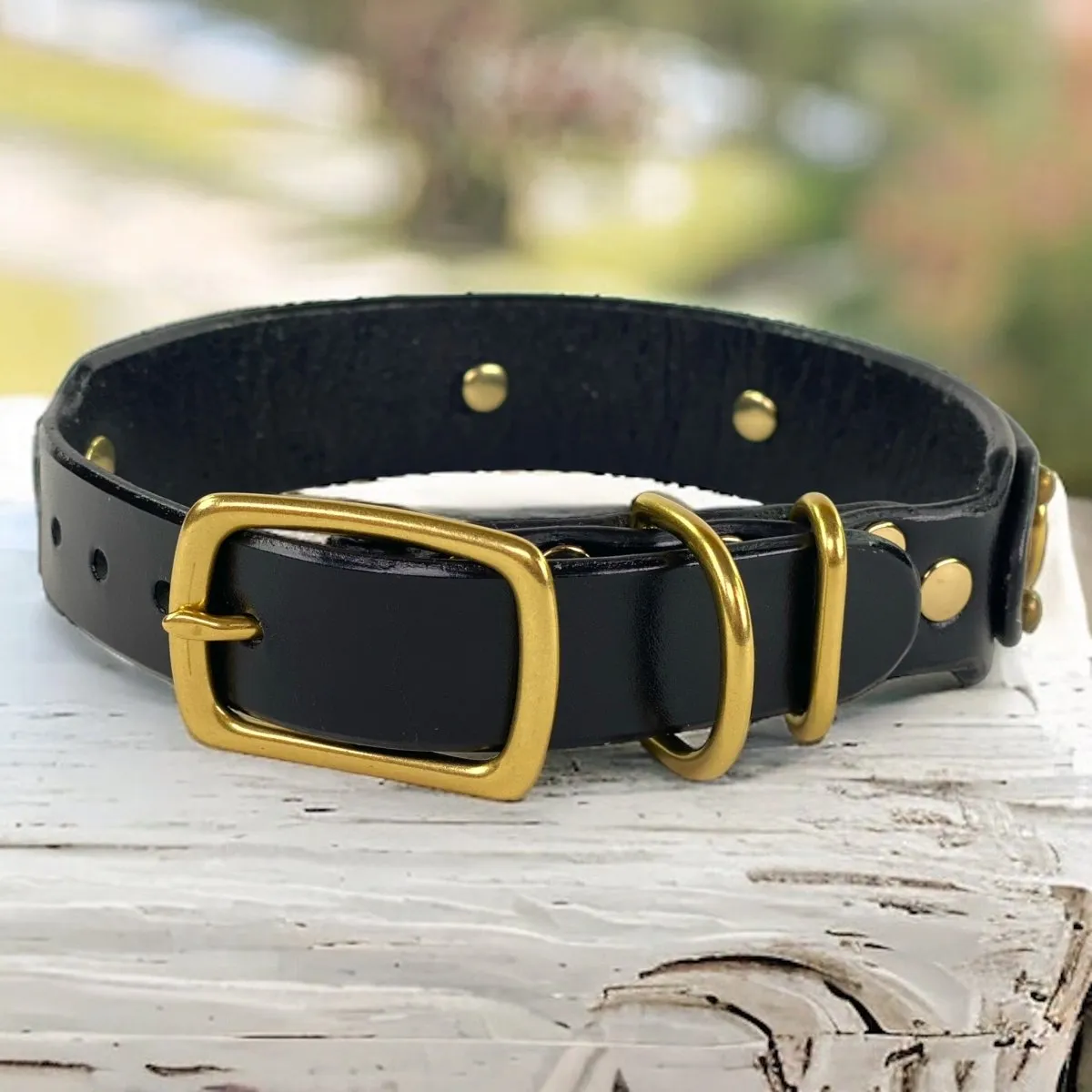 Personalized Leather Dog Collar Legend